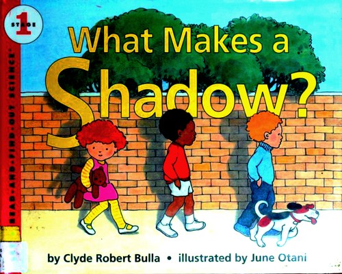 Cover of What makes a shadow?