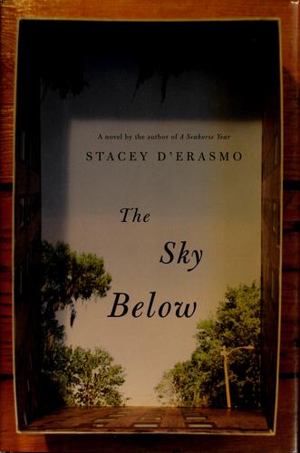 Cover of The sky below