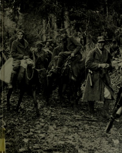 Cover of Partisans and Guerrillas (Time-Life's World War II, Vol. 12)