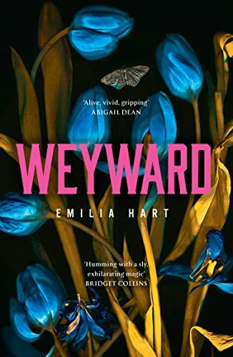 Cover of Weyward