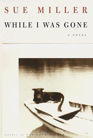 Cover of While I Was Gone