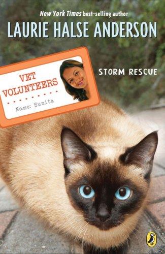 Cover of Storm Rescue
