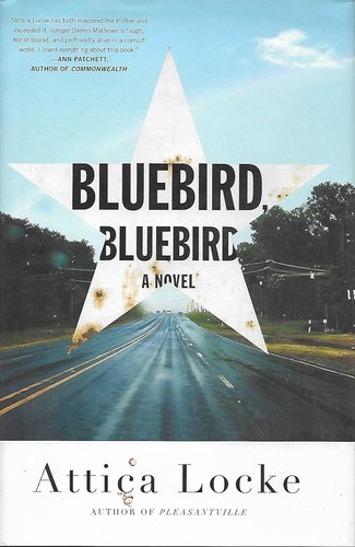 Cover of Bluebird, bluebird