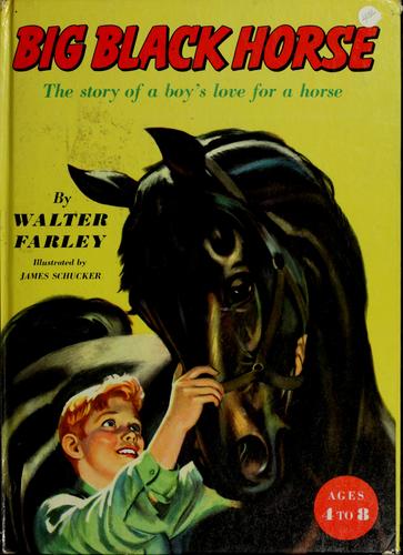 Cover of Big Black Horse