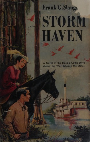 Cover of Storm Haven