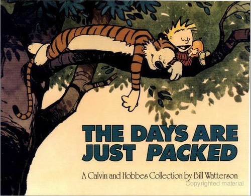 Cover of Days Are Just Packed Calvin and Hobbes