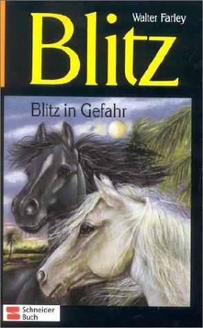 Cover of The black stallion's ghost