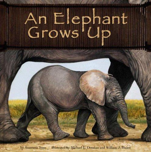 Cover of An Elephant Grows Up (Wild Animals)