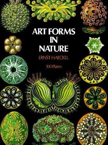Cover of Kunstformen der Natur