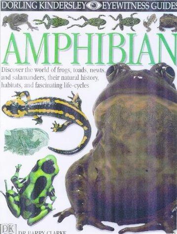 Cover of Amphibian (DK Eyewitness Books)