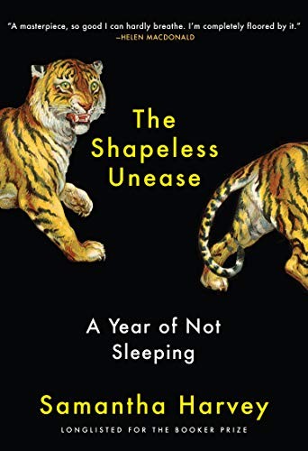 Cover of Shapeless Unease