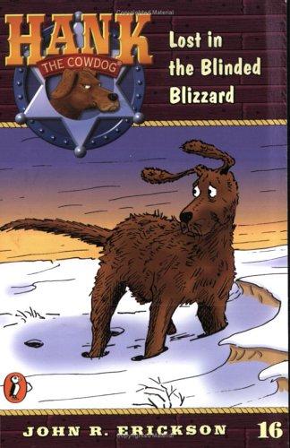 Cover of Lost in the blinded blizzard