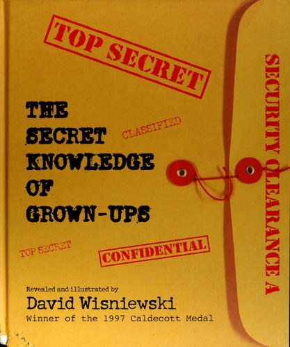 Cover of The secret knowledge of grown-ups