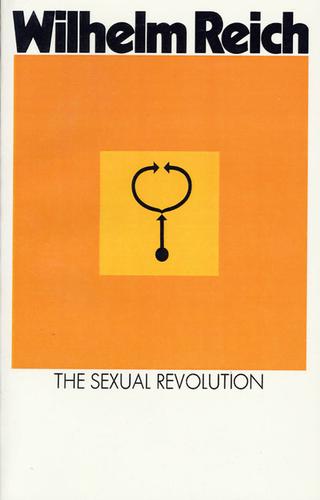 Cover of Die Sexualität im Kulturkampf